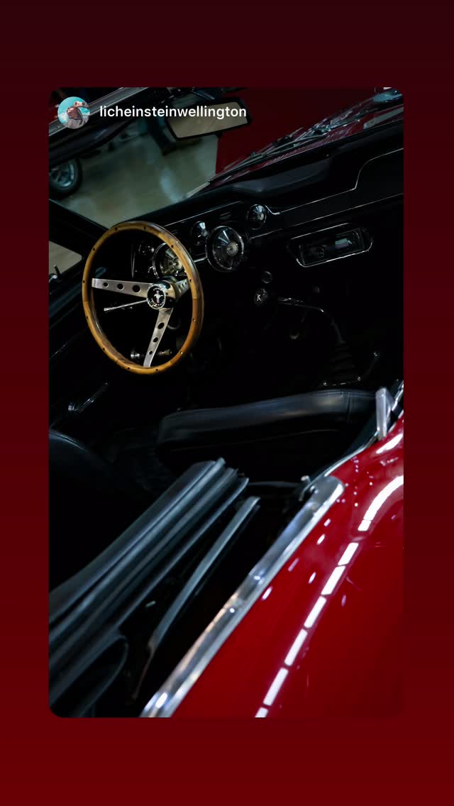 Registro do 25º Mustang Meeting — 11