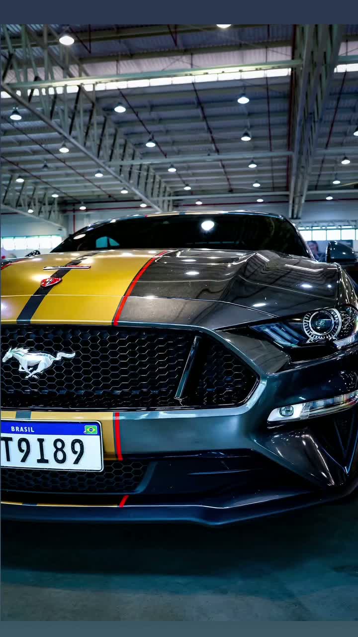 Registros do Mustang Meeting — 5