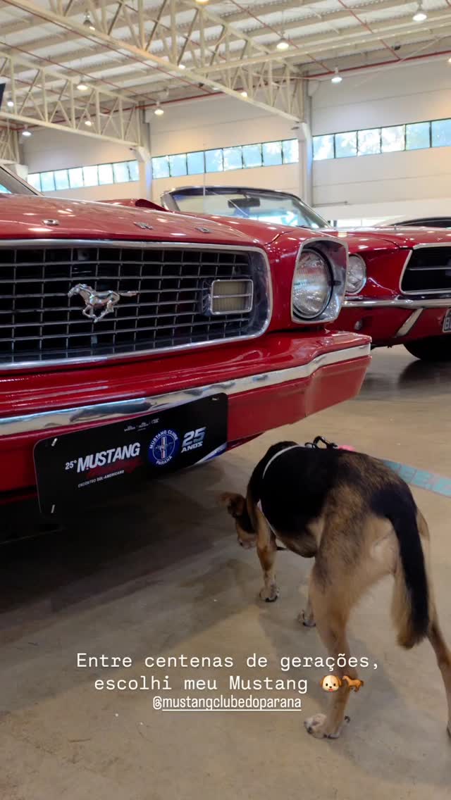 Registro do 25º Mustang Meeting — 9