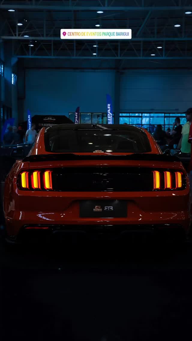Registro do 25º Mustang Meeting — 6