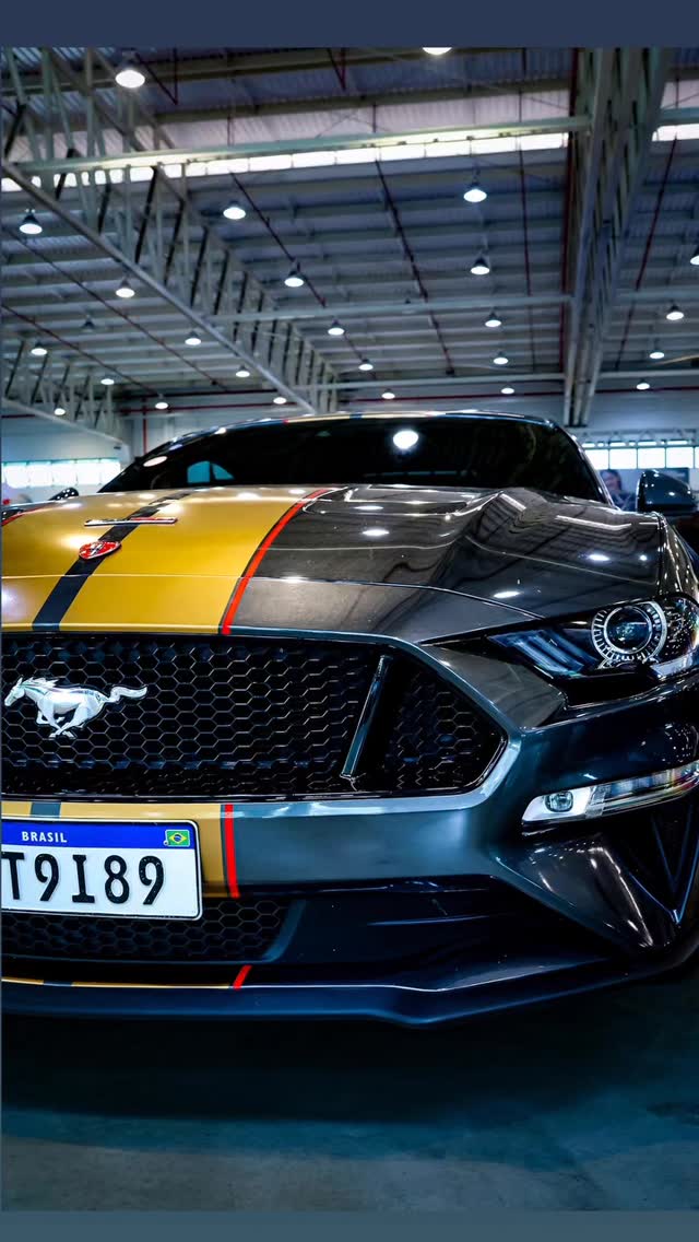 Registro do 25º Mustang Meeting — 1