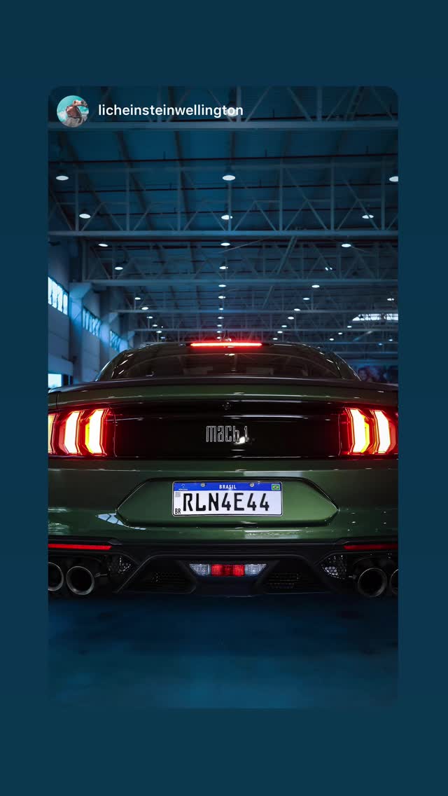 Registro do 25º Mustang Meeting — 8